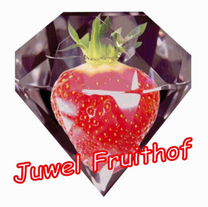 Juwel Fruithof Apartment Zepperen Room photo